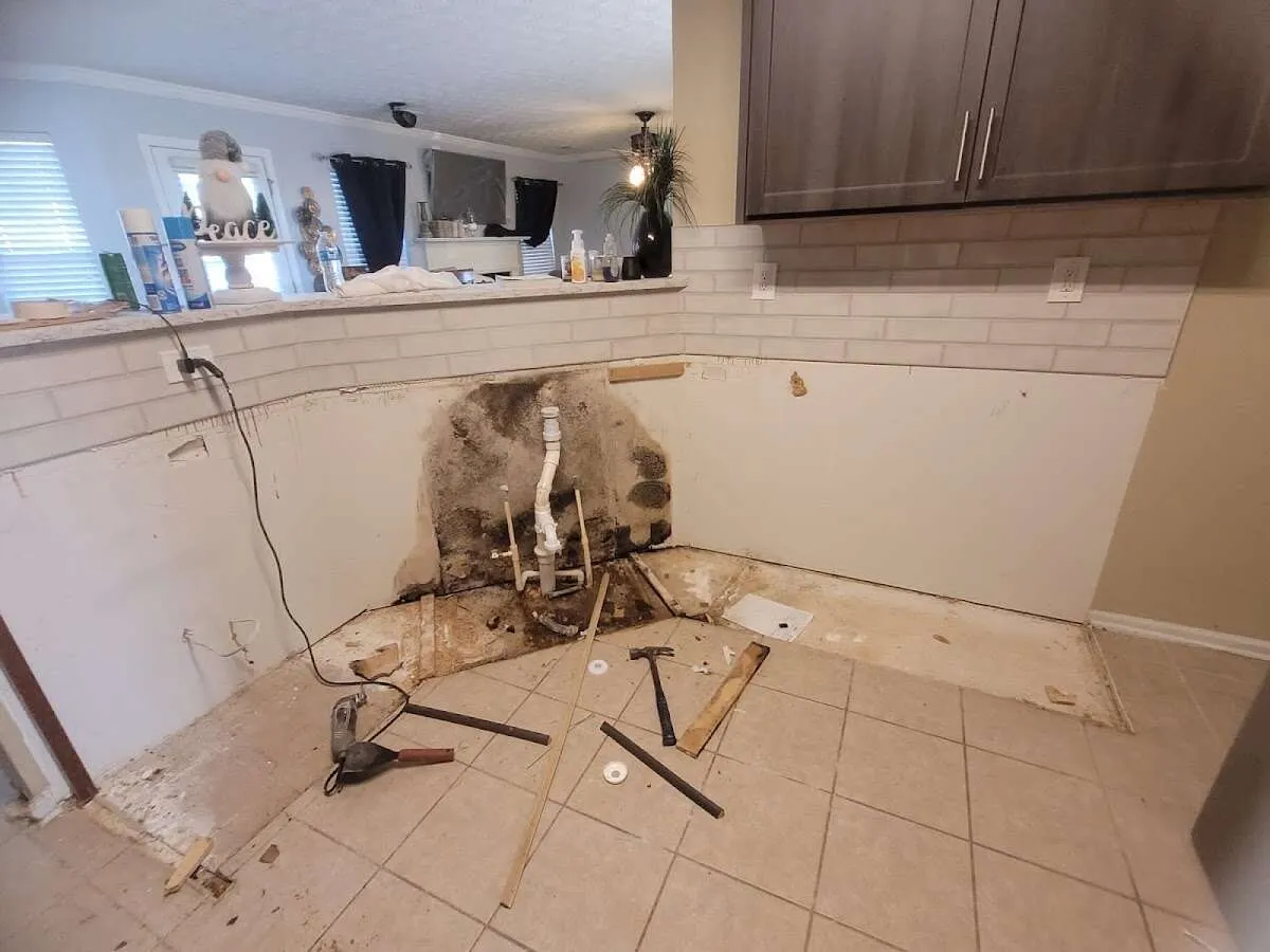 Mold behind wall with plumbing during Flood Damage Cleanup in Nevada